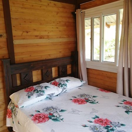 Mario'S Lodge Providencia Copey Buitenkant foto